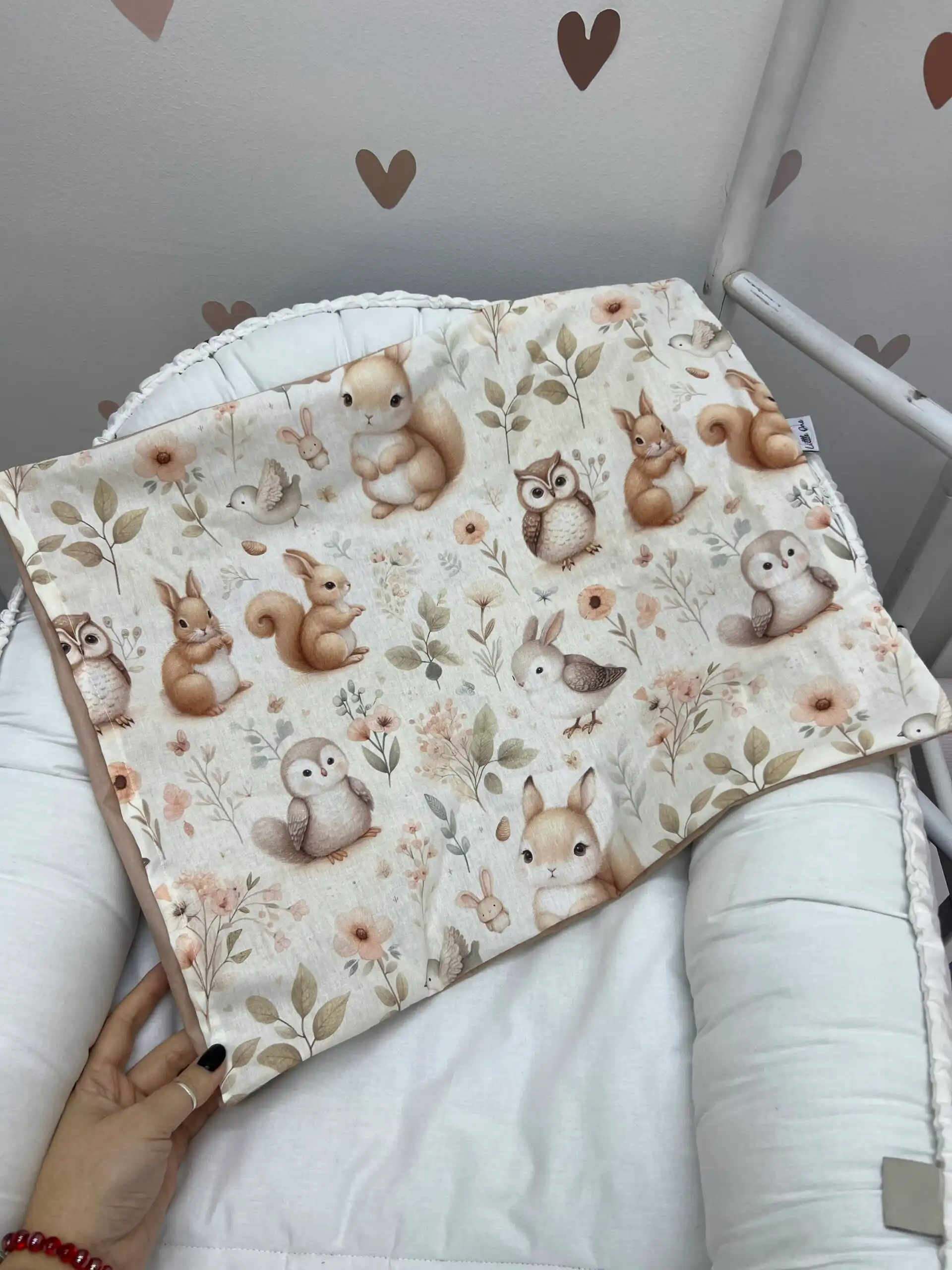 img_9628-3 Jastucnica / premium sova -35*45cm - Slika 1